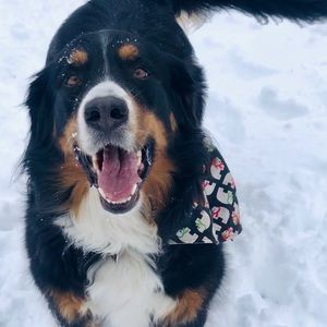 Meet your Posher, Marlee